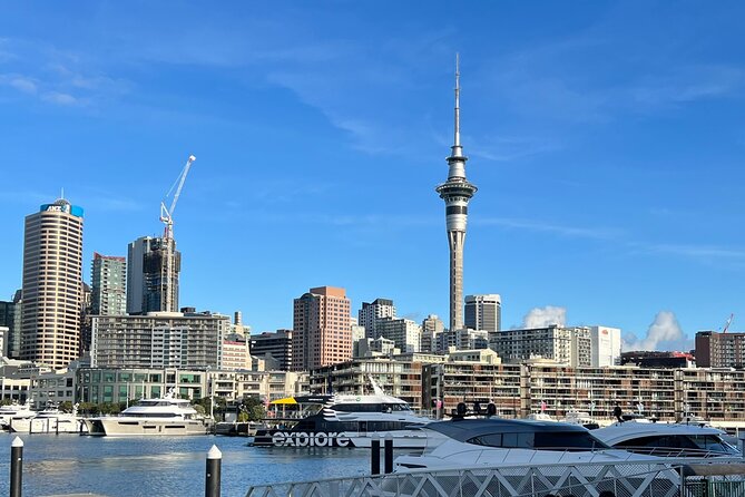 Private Transfer From Auckland City To Auckland Airport - How pickup communication keeps the day calm