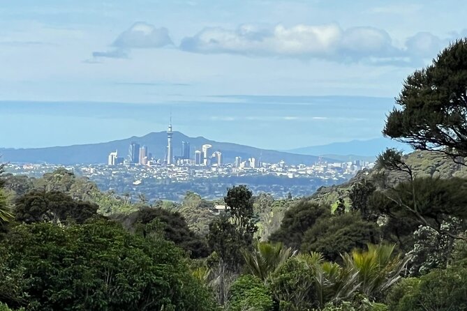 Private Transfer From Auckland International Airport To Auckland City - What makes drivers praised so often, and what you can do
