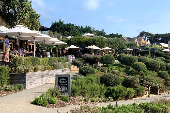 Private Vineyard Bush Walk Tour in Waiheke Island - A Waiheke sampler that avoids the usual island scramble