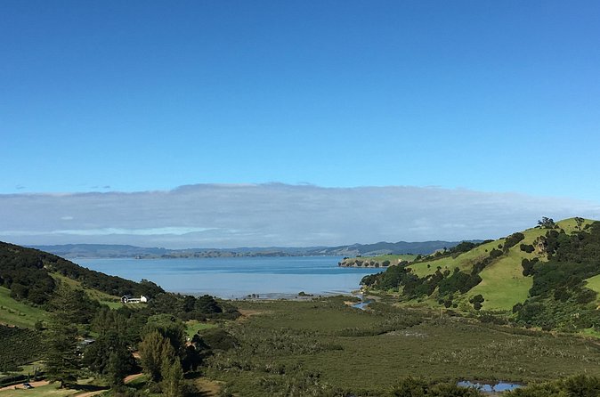 Private Vineyard Bush Walk Tour in Waiheke Island - Choosing the vineyard stops: Mudbrick, Jurassic Ridge, or Cable Bay