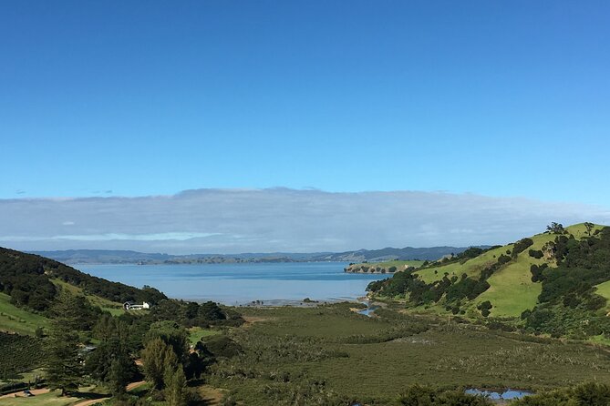 Private Vineyard Bush Walk Tour in Waiheke Island - Why the guides get top marks: Renee, Justine, Dell, Cindy, Jacinta, Barbara