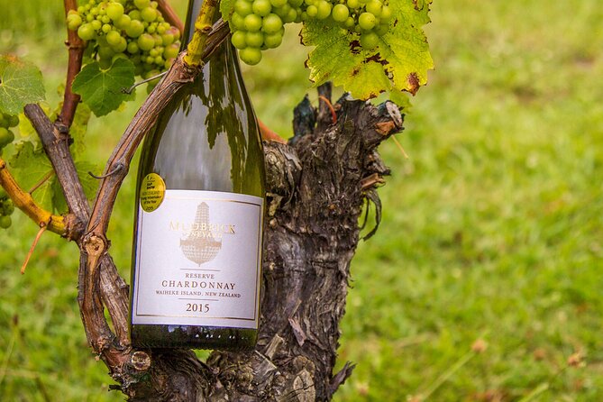 Private Vineyard Bush Walk Tour in Waiheke Island - Price and logistics: $434.40 makes sense only if you plan the whole day