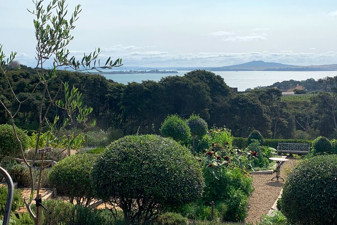Private Vineyard Bush Walk Tour in Waiheke Island - What to bring so the day stays fun, not fussy