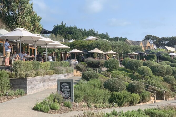 Private Waiheke Food & Wine Tour - Why Waiheke’s food-and-wine day feels easier with a guide