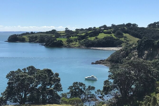 Private Waiheke Food & Wine Tour - What the Mercedes e-van adds to your day (more than comfort)