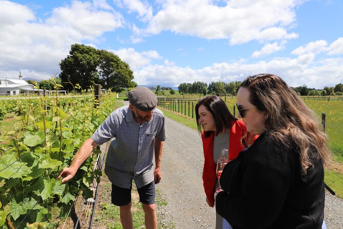 Private Wairarapa Wine Delights Tour from Wellington - Le Grá Vineyard and Winery: owner stories and up to 8 wines