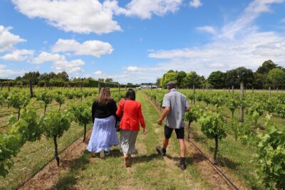Private Wairarapa Wine Delights Tour from Wellington
