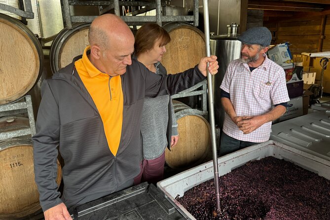 Private Wairarapa Wine Delights Tour from Wellington - Poppies Martinborough and Pinot Noir Rosé favorites