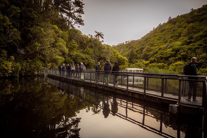 Private Wellington Craft Beer Full Day Tour - Lunch, bottled water, and pacing the 7-hour schedule