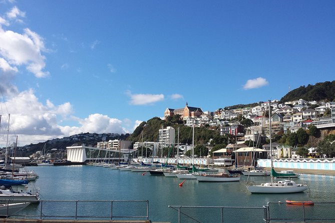 Private Wellington Full Day Sightseeing Tour - Red Rocks Reserve: Seals, outdoor museum vibes, and ocean scale