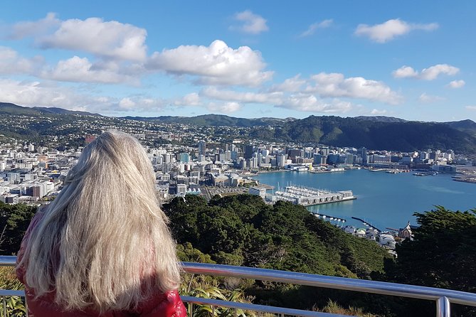 Private Wellington Full Day Sightseeing Tour - Weta Cave and Workshop: Seeing the magic mechanics