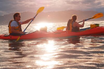 Private Wildlife Kayaking Tour – Kaikoura