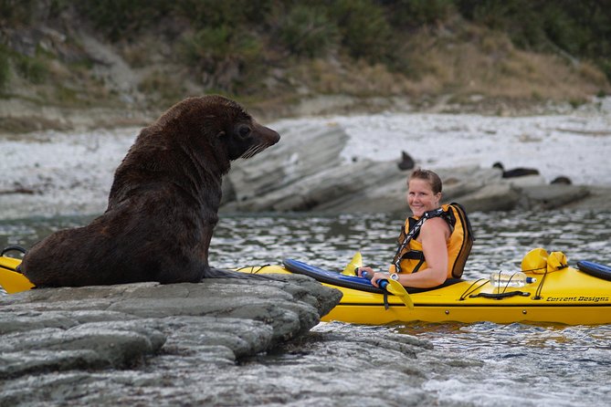 Private Wildlife Kayaking Tour - Kaikoura - Gear, dry bags, and clothing that actually work in Kaikoura