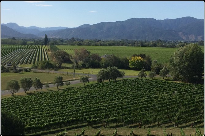 Private Wine Gourmet and Scenic Delights Tour from Picton - Key highlights at a glance
