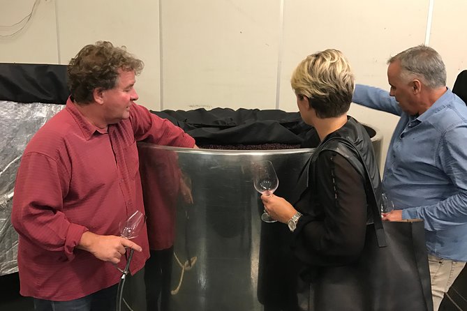 Private Wine Gourmet and Scenic Delights Tour from Picton - A six-hour private day that starts with Picton hotel pickup
