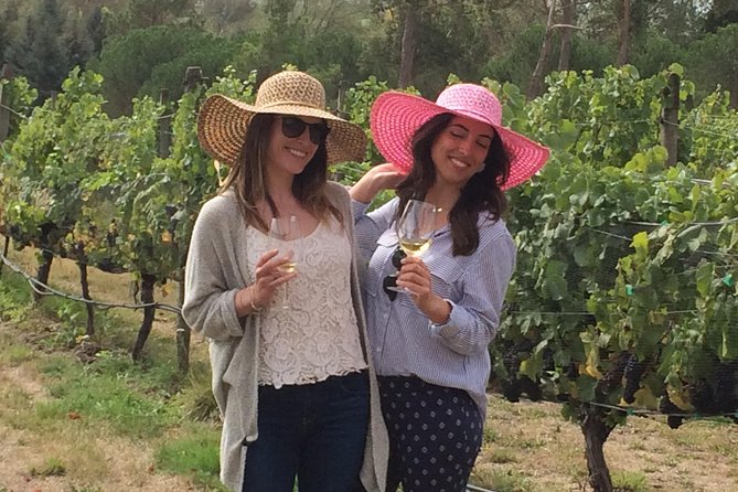 Private Wine Gourmet and Scenic Delights Tour from Picton - Should you book this private wine gourmet tour from Picton?