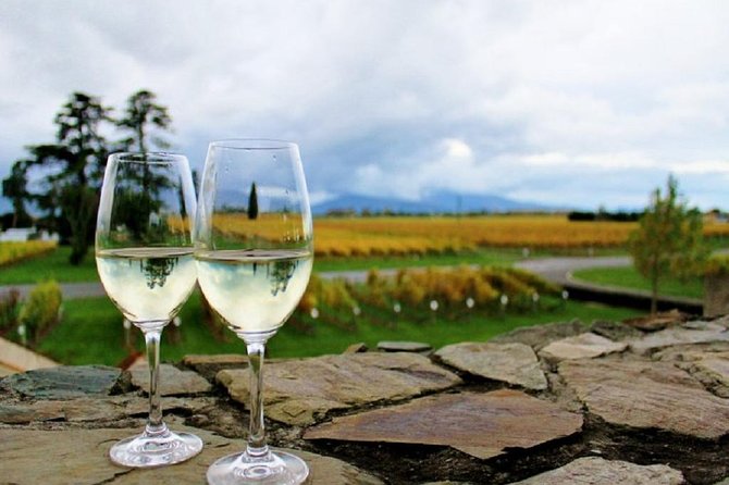 Progressive Wine and Gourmet Trail of Marlborough - What makes this Marlborough tour special