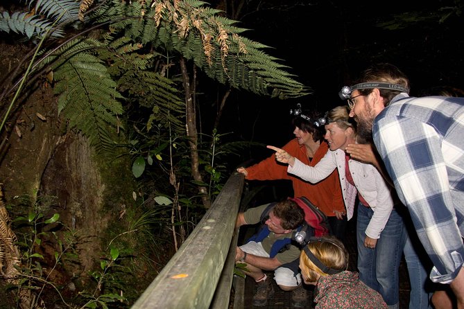 Puketi Rainforest Guided Walks .This is not a Shore Excursion product . - Key Highlights You Should Know Up Front