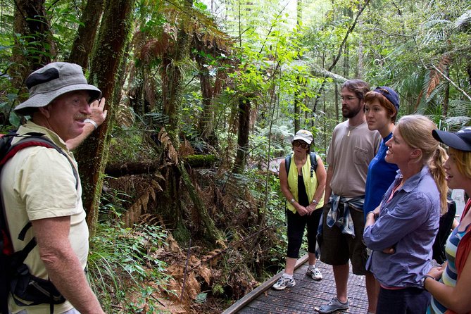 Puketi Rainforest Guided Walks .This is not a Shore Excursion product . - Puketi Rainforest Guided Walks: starting in Ōkaihau, not on a cruise schedule