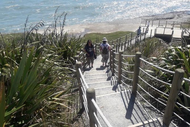 Punakaiki Blow Holes & Pancake Rocks Scenic Tour - Punakaiki from Greymouth in about 3 hours, no car required