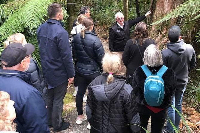 Punakaiki Blow Holes & Pancake Rocks Scenic Tour - Guides like Linda and Helen turn a walk into a mini education