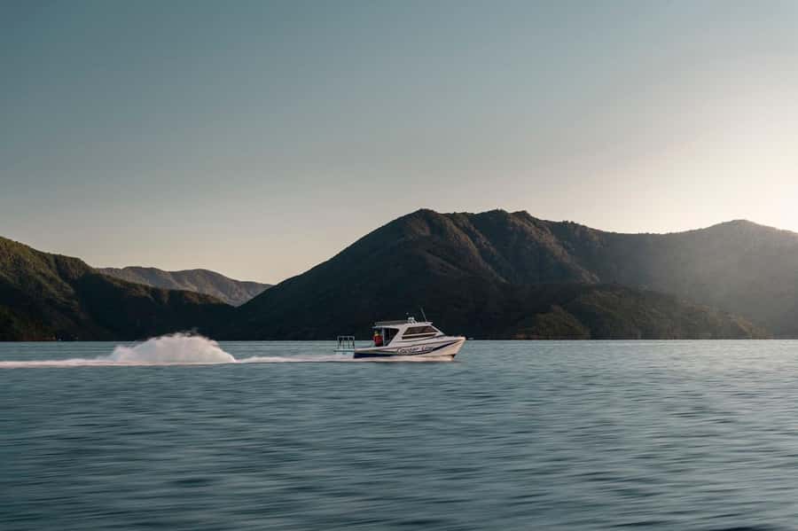 Queen Charlotte Sound Cruise with Lunch - Queen Charlotte Sound by Water Taxi: The Route That Matters