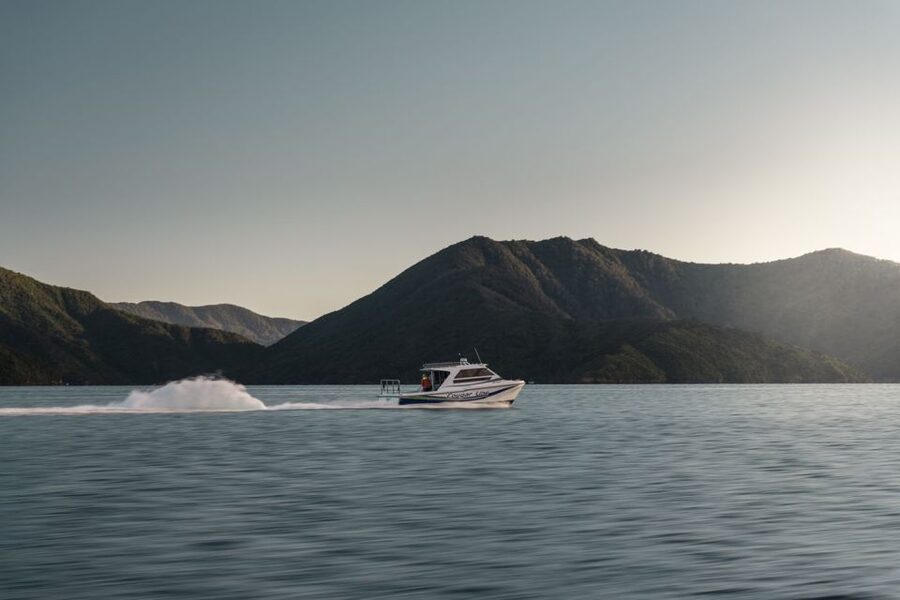 Queen Charlotte Sound Cruise with Lunch - Price and Value at About $96: What You Actually Get