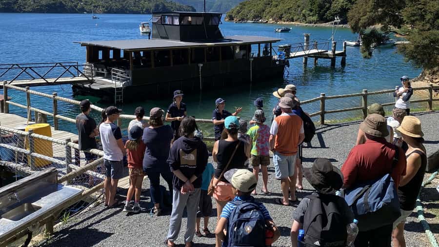 Queen Charlotte Sound: Lochmara Cruise & Explore 9-2.45 - Key highlights at a glance
