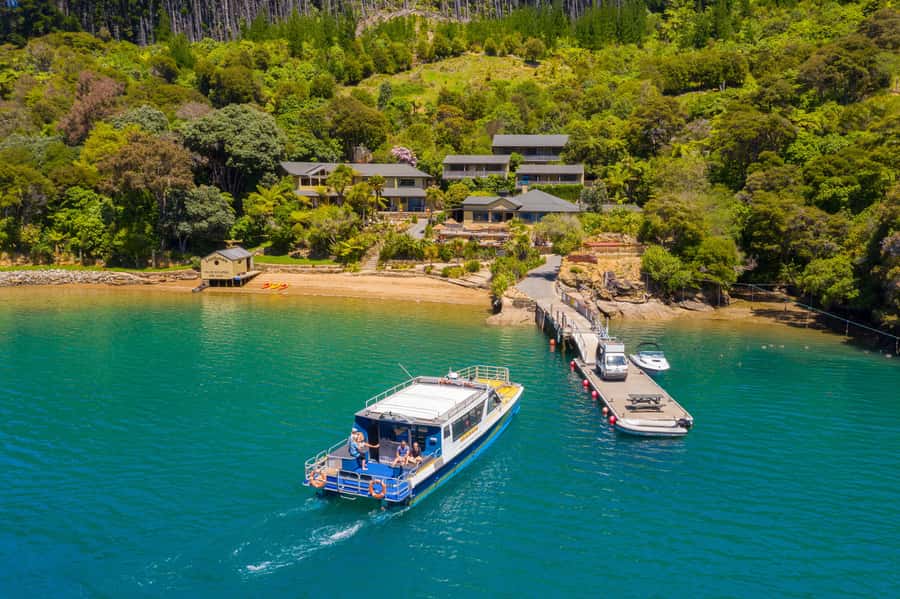 Queen Charlotte Sound: Lochmara Cruise & Explore 9-2.45 - Queen Charlotte Sounds Boat Ride to Lochmara