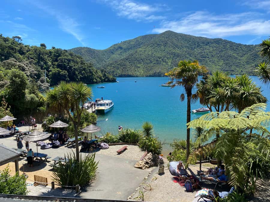 Queen Charlotte Sound: Lochmara Cruise & Explore 9-2.45 - Sculptures, Conservation Projects, and What You Learn On Site