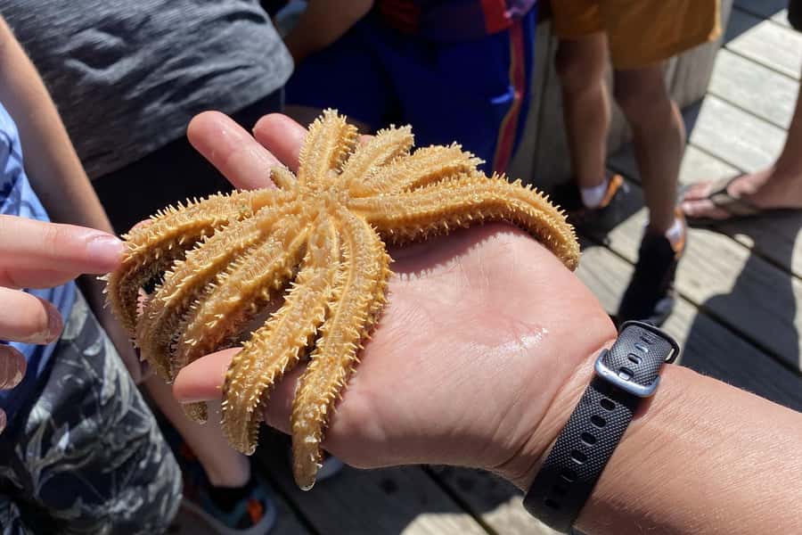 Queen Charlotte Sound: Lochmara Cruise & Explore 9-2.45 - Inside Lochmara, 11 Acres of Native Trails and Wildlife Education