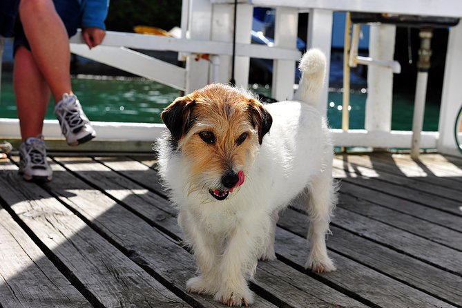 Queen Charlotte Sound Mail Boat Cruise - Why the mail delivery moment hits harder than you expect