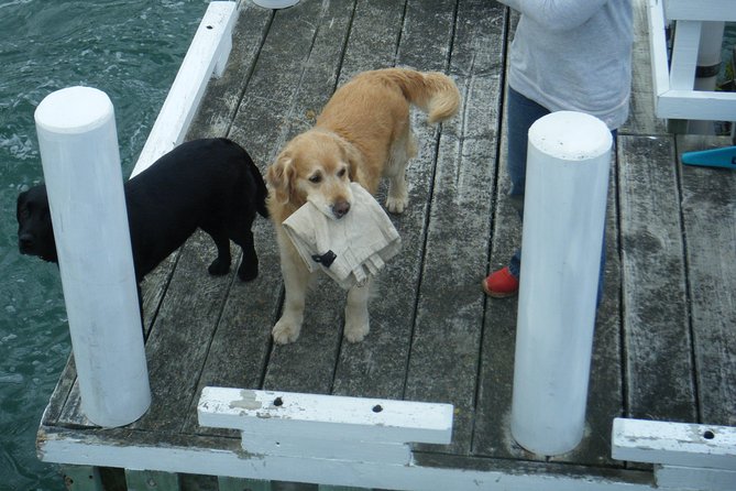 Queen Charlotte Sound Mail Boat Cruise - Price and value: is $75.71 worth it?