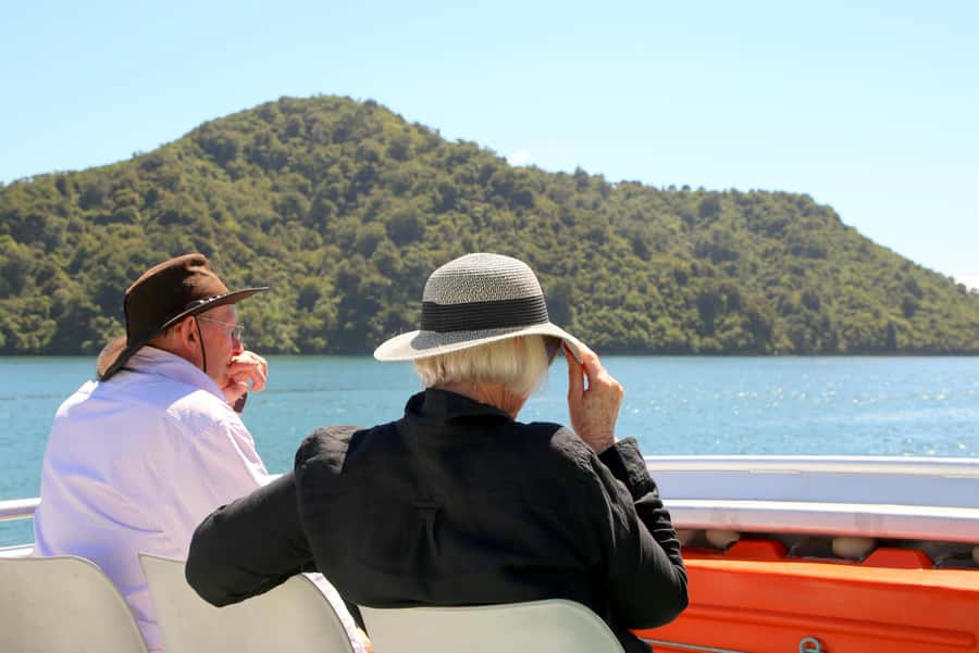 Queen Charlotte Sound Mail Boat Cruise from Picton - Wildlife spotting in Marlborough Sounds: dolphins, seals, and fish feeding