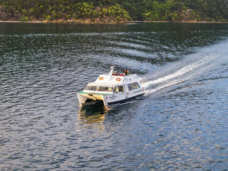 Queen Charlotte Sound Mail Boat Cruise from Picton - Price and value: what $75 buys for 4 hours in the Sound