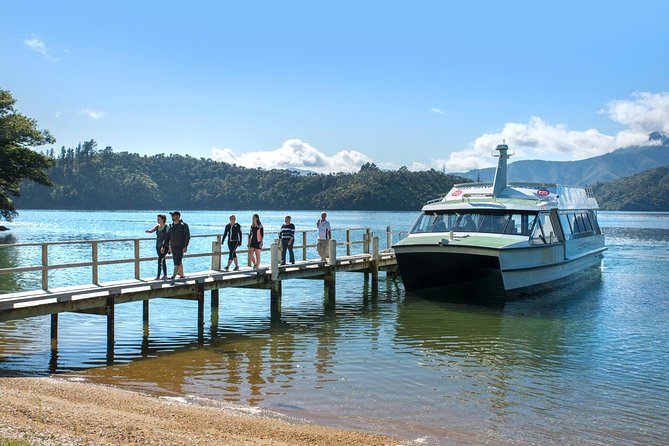 Queen Charlotte Sound Mail Boat Cruise - The 4-hour plan: what you will do (and what might change)