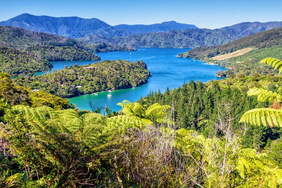 Queen Charlotte Track: Cruise & Self-Guided Hike from Picton - Key Highlights That Make This One Work