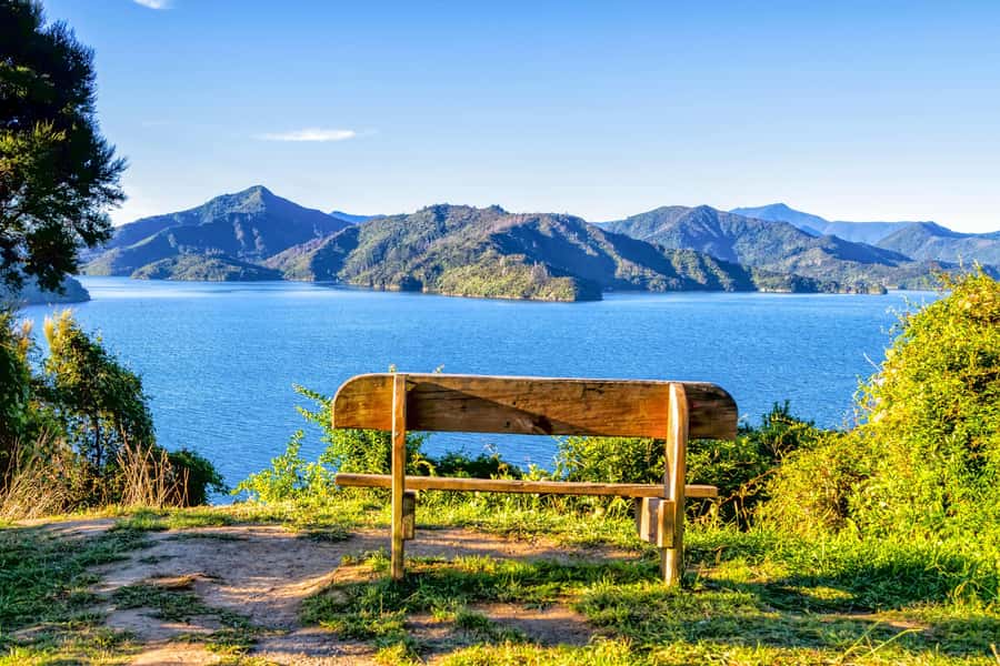 Queen Charlotte Track: Cruise & Self-Guided Hike from Picton - From Picton Harbour to the Queen Charlotte Track, Without the Stress