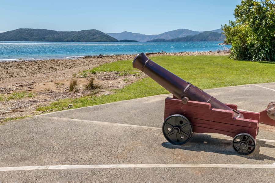 Queen Charlotte Track: Cruise & Self-Guided Hike from Picton - The One-Hour Cruise Through Queen Charlotte Sound: Views Plus Real Talk