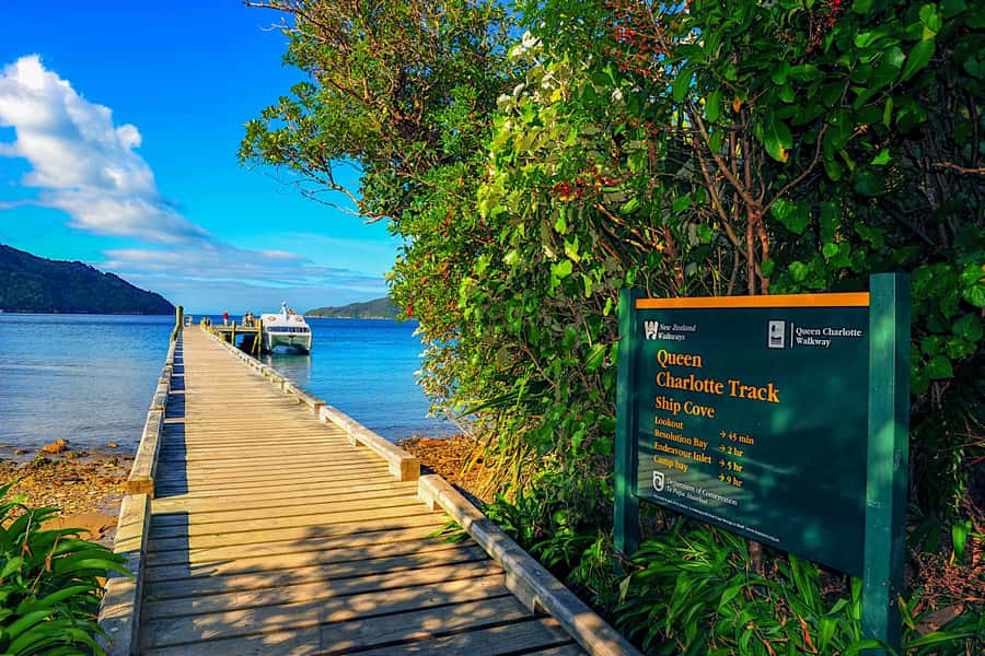 Queen Charlotte Track: Cruise & Self-Guided Hike from Picton - Historic Ship Cove: Your Cook-Linked Start Point
