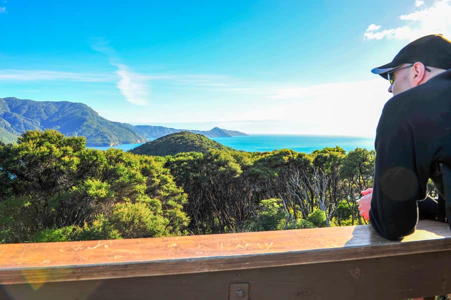 Queen Charlotte Track: Cruise & Self-Guided Hike from Picton - Trail Reality Check: Rocky Ground, Shade, and How to Actually Prepare