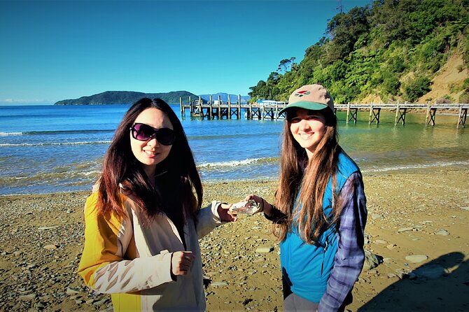 Queen Charlotte Track - Ultimate one Day Walk and Cruise - Should you book? My honest take