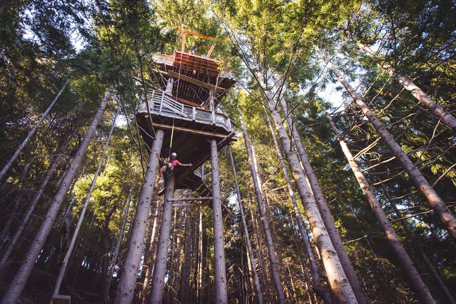 Queenstown: 1-Hour Zipline Tour with 2-Lines & 21-Meter Drop - The 10-minute uphill walk on the Tiki Trail, and why it’s not filler