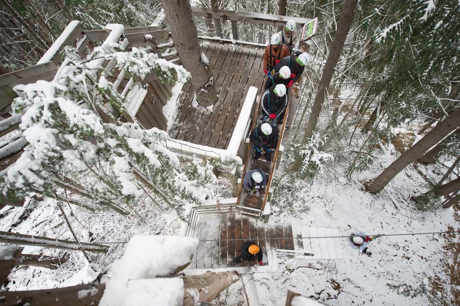 Queenstown: 2-Hour Zipline Tour with 4-Lines - Who This Tour Is Best For (and Who Should Skip It)