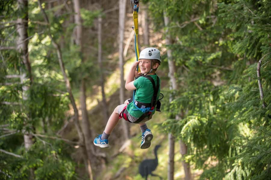Queenstown: 2-Hour Zipline Tour with 4-Lines - Value and Price: Is $95 for Four Ziplines a Good Deal?