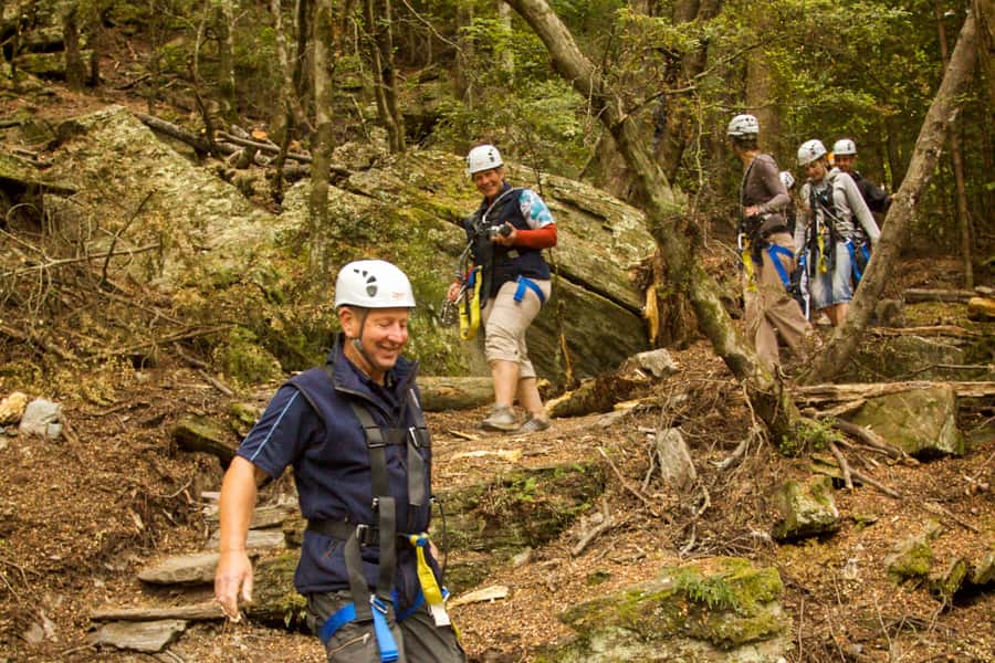 Queenstown: 3-Hour Zipline Adventure with 6-Lines - Quick hits before you clip in