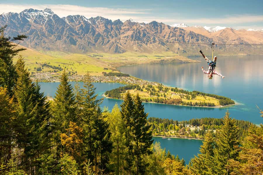 Queenstown: 3-Hour Zipline Adventure with 6-Lines - The 12 tree-top platforms: your guided route above native forest