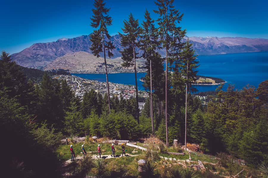 Queenstown: 3-Hour Zipline Adventure with 6-Lines - After you zip: the 20-minute downhill walk through native beech forest
