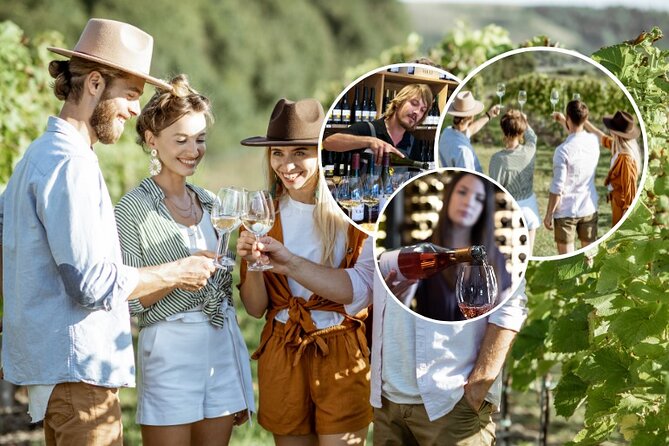 Queenstown Afternoon Wine Tour - Peregrine | Kinross | Amisfield - Why this late-afternoon Queenstown wine tour makes sense