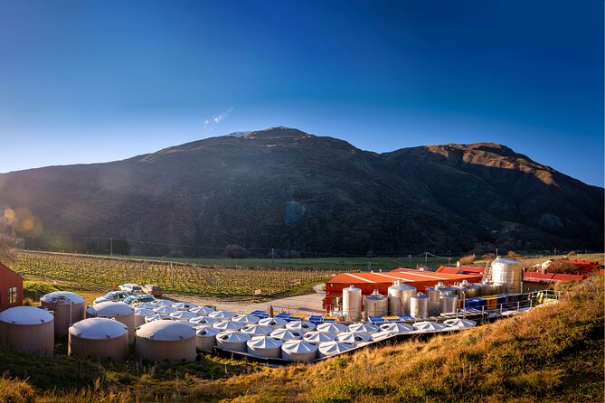 Queenstown Afternoon Wine Tour - Peregrine | Kinross | Amisfield - Stop 4: Amisfield Cellar Door and that stone building view